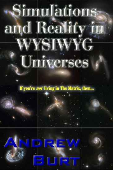 Simulations and Reality in WYSIWYG Universes - Andrew Burt