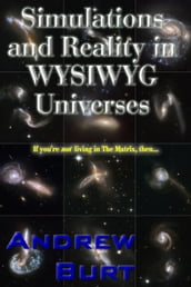 Simulations and Reality in WYSIWYG Universes