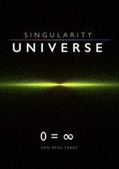 Singularity Universe