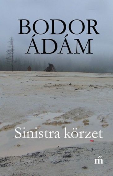 Sinistra körzet - Bodor Ádám