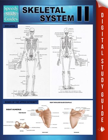 Skeletal System II (Speedy Study Guides) - Speedy Publishing