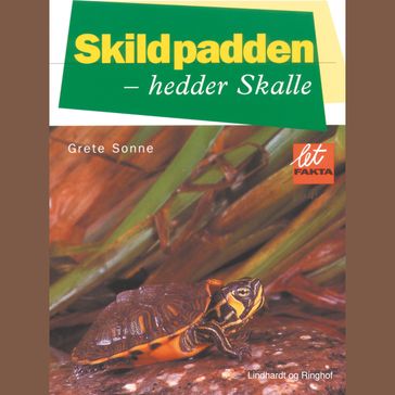 Skildpadden - hedder Skalle - Grete Sonne