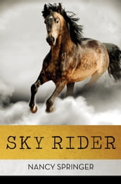 Sky Rider