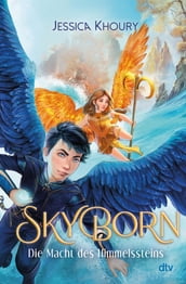 Skyborn Die Macht des Himmelssteins