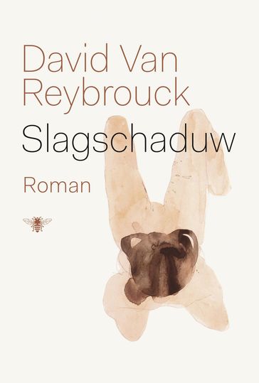 Slagschaduw - David van Reybrouck