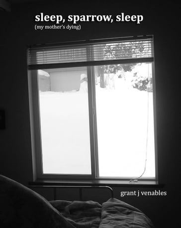 Sleep, Sparrow, Sleep - Grant J Venables