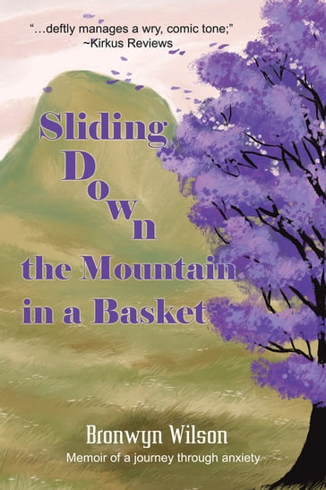 Sliding Down the Mountain in a Basket - Bronwyn Wilson