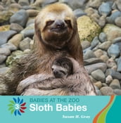 Sloth Babies