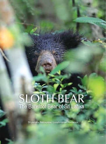 Sloth Bear: The Barefoot Bear of Sri Lanka - Shyamala Ratnayeke - Luxshmanan Nadaraja