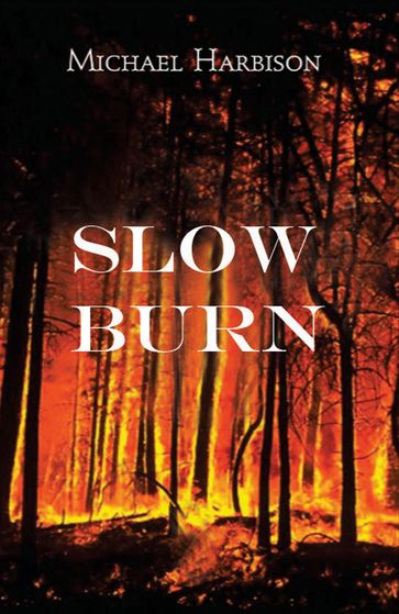 Slow Burn - Michael Harbison