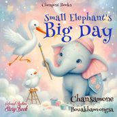 Small Elephant s Big Day