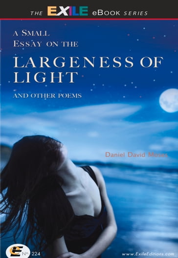 A Small Essay on the Largeness of Light and Other Poems - Daniel David Moses