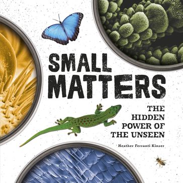 Small Matters - Heather Ferranti Kinser