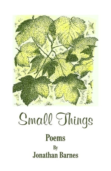 Small Things - Jonathan Barnes