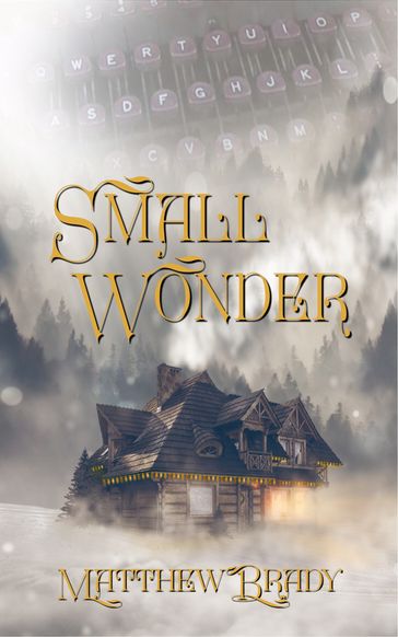 Small Wonder - Matthew Brady