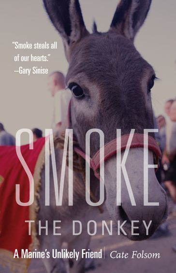 Smoke the Donkey - Cate Folsom
