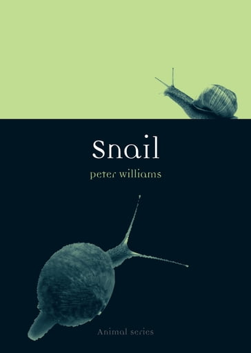 Snail - Peter Williams
