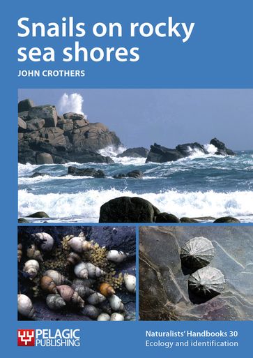 Snails on rocky sea shores - John Crothers