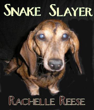 Snake Slayer - Rachelle Reese