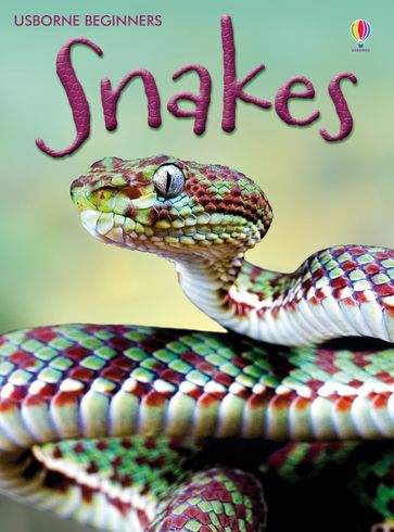 Snakes: For tablet devices: For tablet devices - James Maclaine