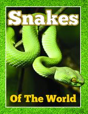 Snakes Of The World