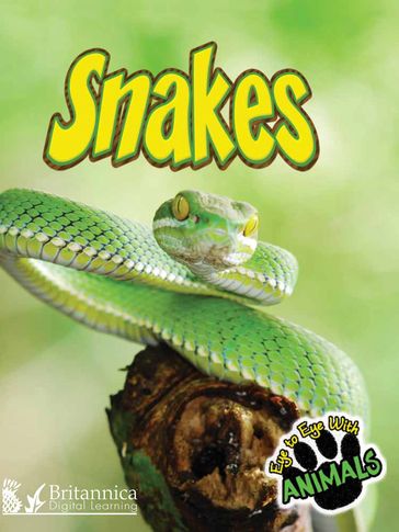 Snakes - Tom Greve
