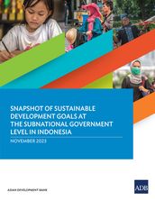 Snapshot of Sustainable Development Goals at the Subnational Government Level in Indonesia