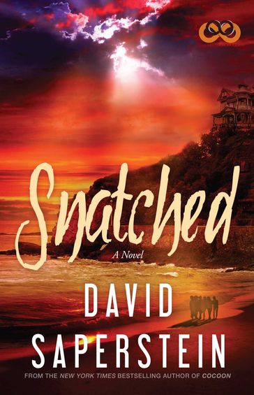 Snatched - David Saperstein