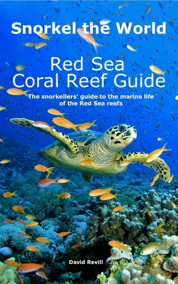 Snorkel the World: Red Sea Coral Reef Guide - David Revill