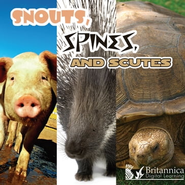 Snouts, Spines, and Scutes - Lynn Stone