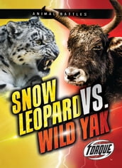 Snow Leopard vs. Wild Yak