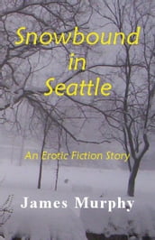 Snowbound in Seattle