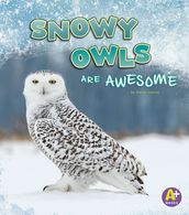 Snowy Owls Are Awesome