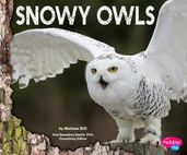 Snowy Owls