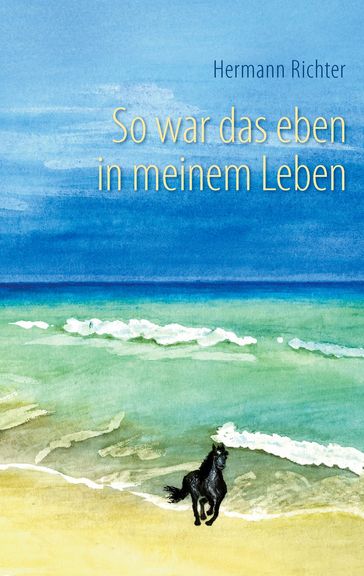 So war das eben in meinem Leben - Hermann Richter