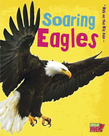 Soaring Eagles - Charlotte Guillain