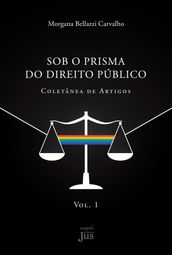 Sob o prisma do direito público: coletânea de artigos