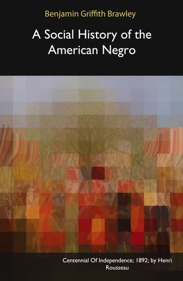 A Social History of the American Negro - Benjamin Griffith Brawley