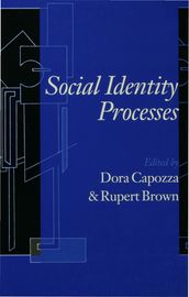 Social Identity Processes