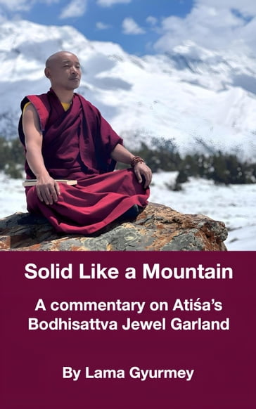 Solid Like a Mountain - Jason McDonald - Gyurme (Lama)