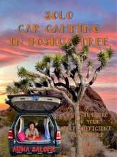 Solo Car Camping In Joshua Tree