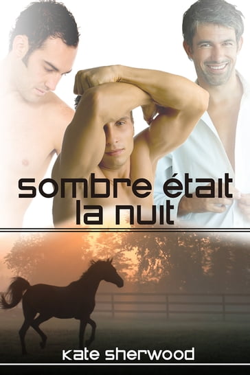 Sombre était la nuit - Kate Sherwood