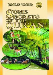 Some Secrets of the Qur