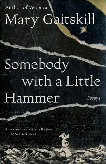 Somebody with a Little Hammer - Mary Gaitskill