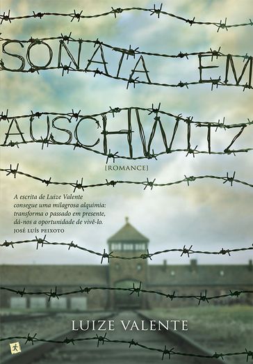 Sonata em Auschwitz - Luize Valente