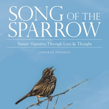 Song of the Sparrow - Deborah Freeman