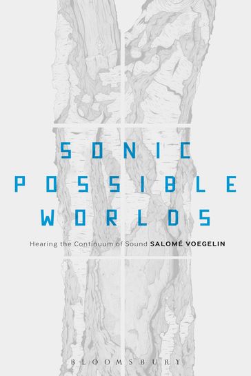 Sonic Possible Worlds - Dr Salomé Voegelin