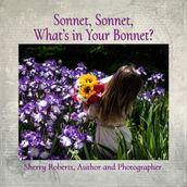 Sonnet, Sonnet, What s in Your Bonnet?