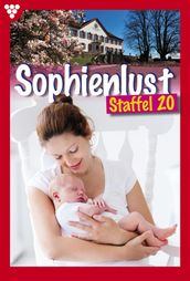 Sophienlust Staffel 20 Familienroman