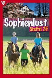 Sophienlust Staffel 25 Familienroman